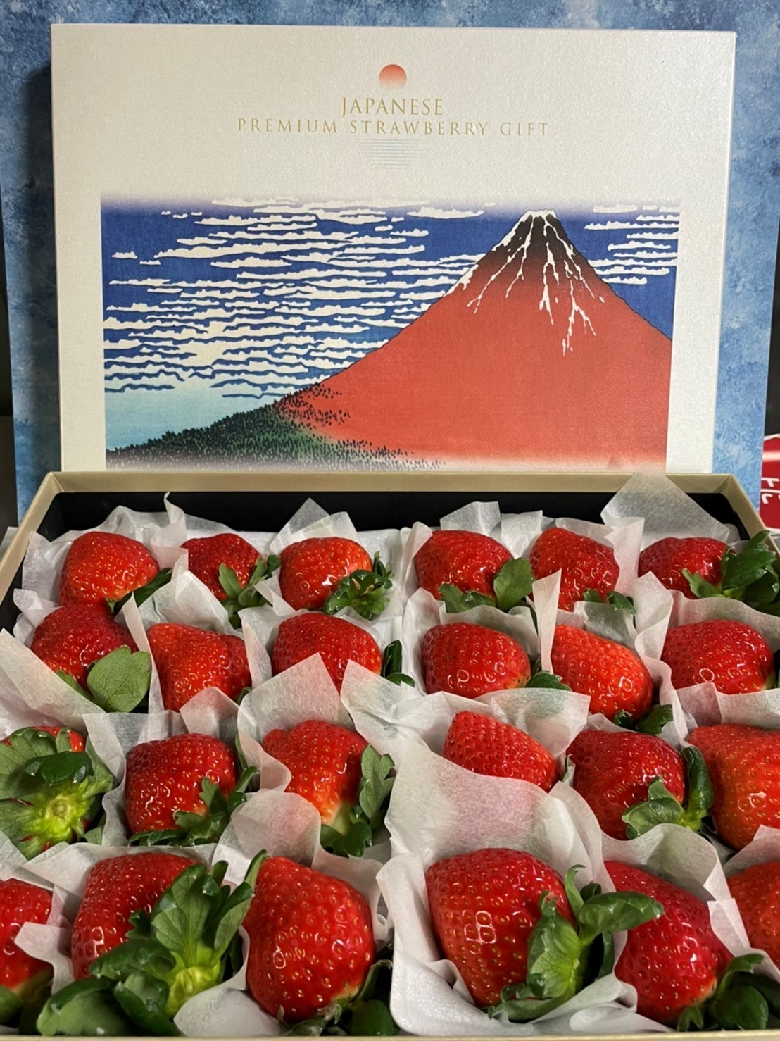 歌舞伎座 季節のフルーツ(箱)　福岡あまおう苺＋恋実り苺　24玉