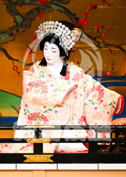 【9月】祇園祭礼信仰記金閣寺