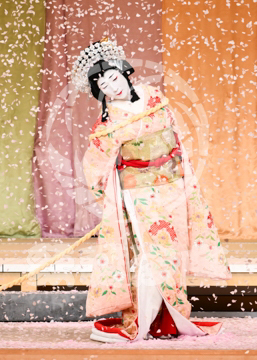 【9月】祇園祭礼信仰記金閣寺