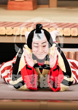 【11月】鎌倉三代記