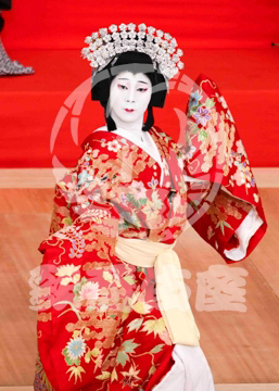 【11月】顔見世季花姿繪春調娘七種