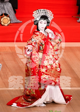 【11月】顔見世季花姿繪春調娘七種