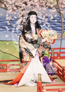 【2月】醍醐の花見
