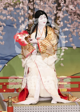 【2月】醍醐の花見