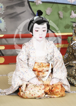 【2月】醍醐の花見