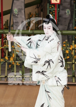 【2月】鞘當