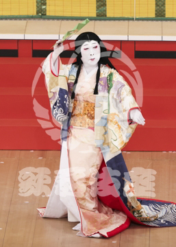 【2月】醍醐の花見