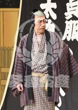 【5月】弁天娘女男白浪浜松屋見世先の場