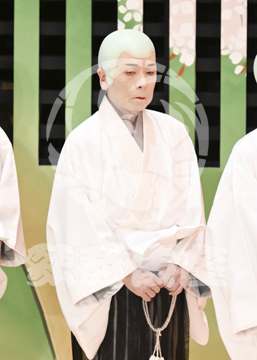 【5月】京鹿子娘道成寺