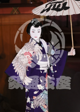 【5月】弁天娘女男白浪稲瀬川勢揃いの場