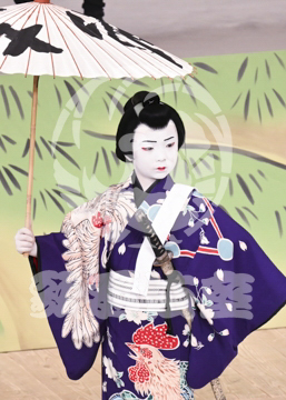 【5月】弁天娘女男白浪稲瀬川勢揃いの場