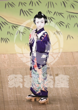【5月】弁天娘女男白浪稲瀬川勢揃いの場