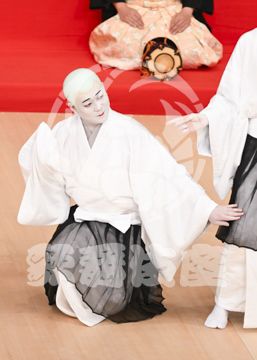 【5月】京鹿子娘道成寺