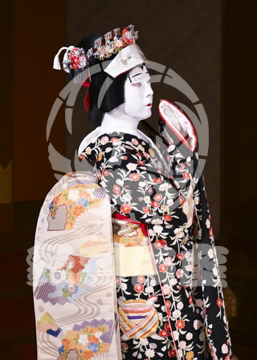 【5月】京鹿子娘道成寺
