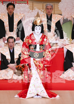 【5月】京鹿子娘道成寺