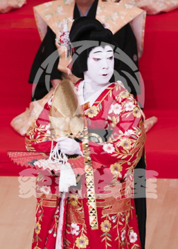 【5月】京鹿子娘道成寺