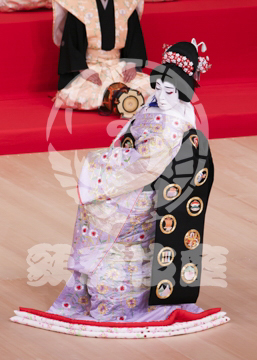 【5月】京鹿子娘道成寺