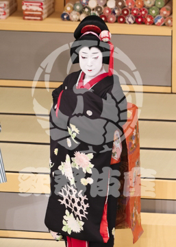 【5月】弁天娘女男白浪浜松屋見世先の場