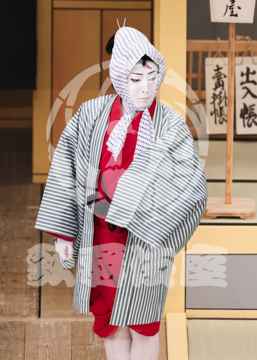 【5月】弁天娘女男白浪浜松屋見世先の場