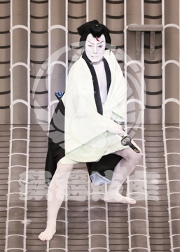 【5月】弁天娘女男白浪極楽寺屋根の場