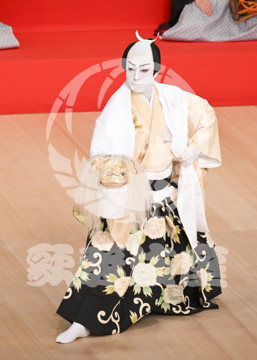 【6月】連獅子