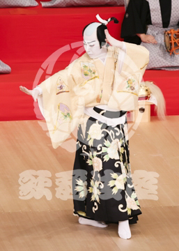 【6月】連獅子