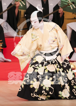 【6月】連獅子