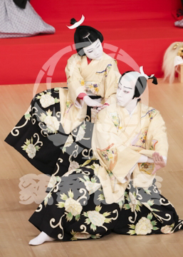 【6月】連獅子