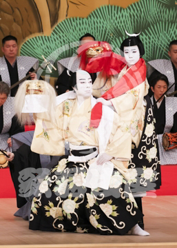 【6月】連獅子