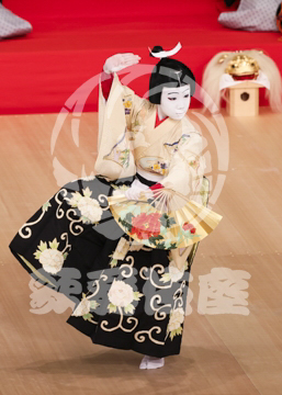 【6月】連獅子