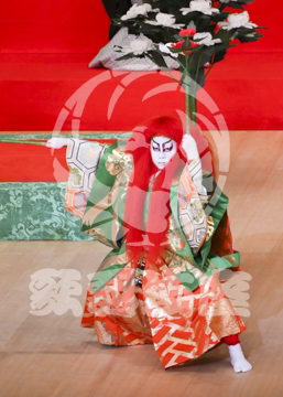 【6月】連獅子