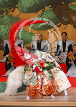 【6月】連獅子