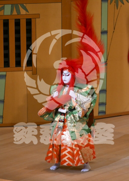 【6月】連獅子