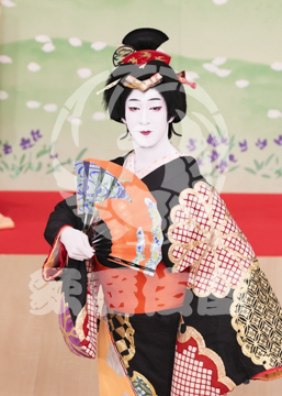 【6月】元禄花見踊