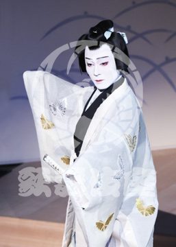 【7月】蝶の道行