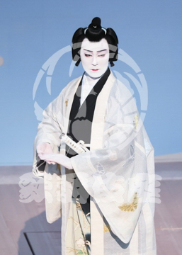 【7月】蝶の道行