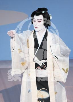 【7月】蝶の道行