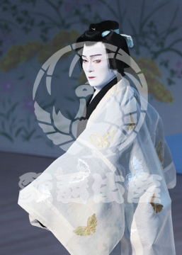 【7月】蝶の道行