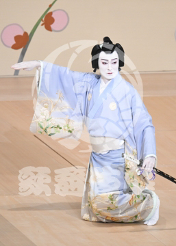 【7月】蝶の道行