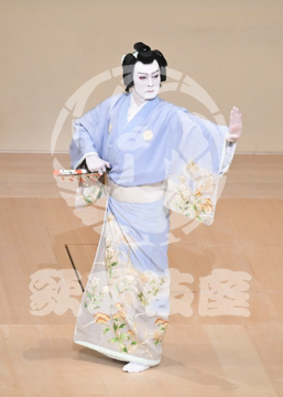 【7月】蝶の道行