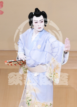 【7月】蝶の道行