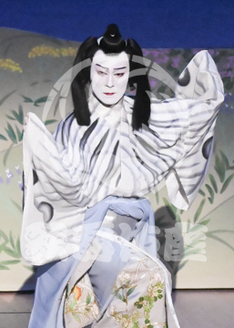 【7月】蝶の道行
