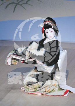 【7月】蝶の道行