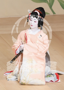 【7月】蝶の道行