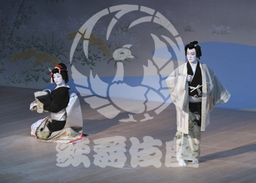 【7月】蝶の道行