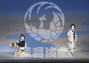 【7月】蝶の道行