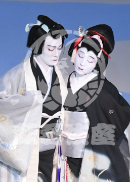 【7月】蝶の道行