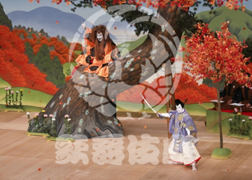 【7月】紅葉狩