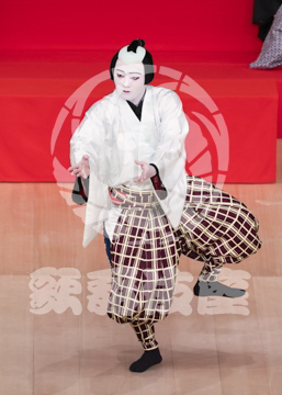 【8月】越後獅子