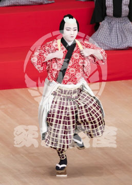 【8月】越後獅子